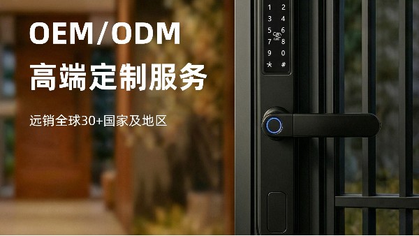 外贸工程窄边门智能锁源头工厂